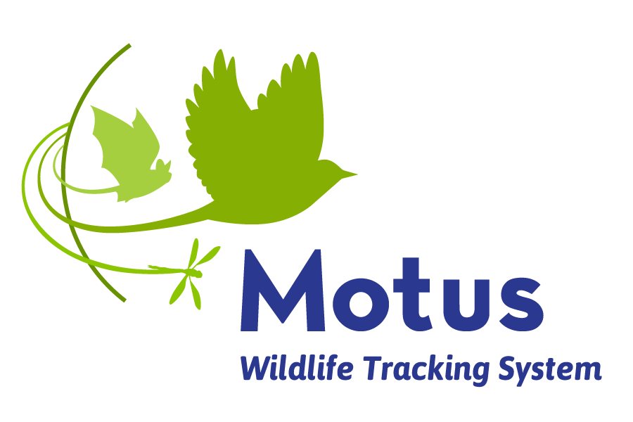 Motus Logo