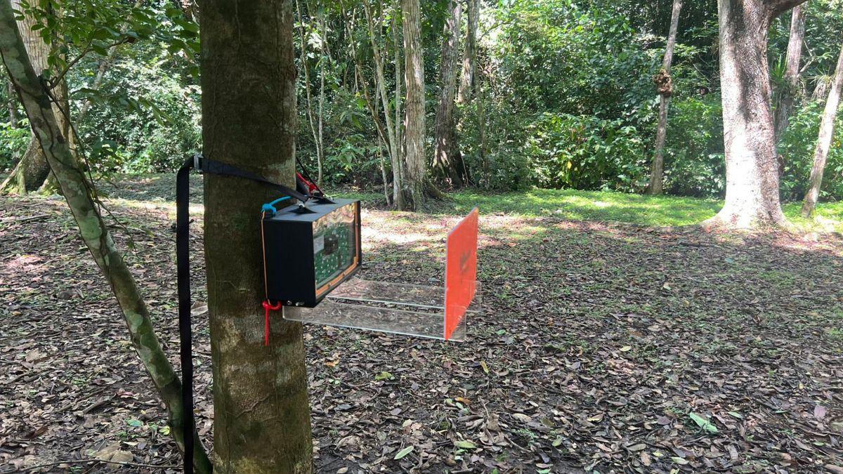 mothbox deployed in panama