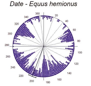 circular chart of yearly animal activity