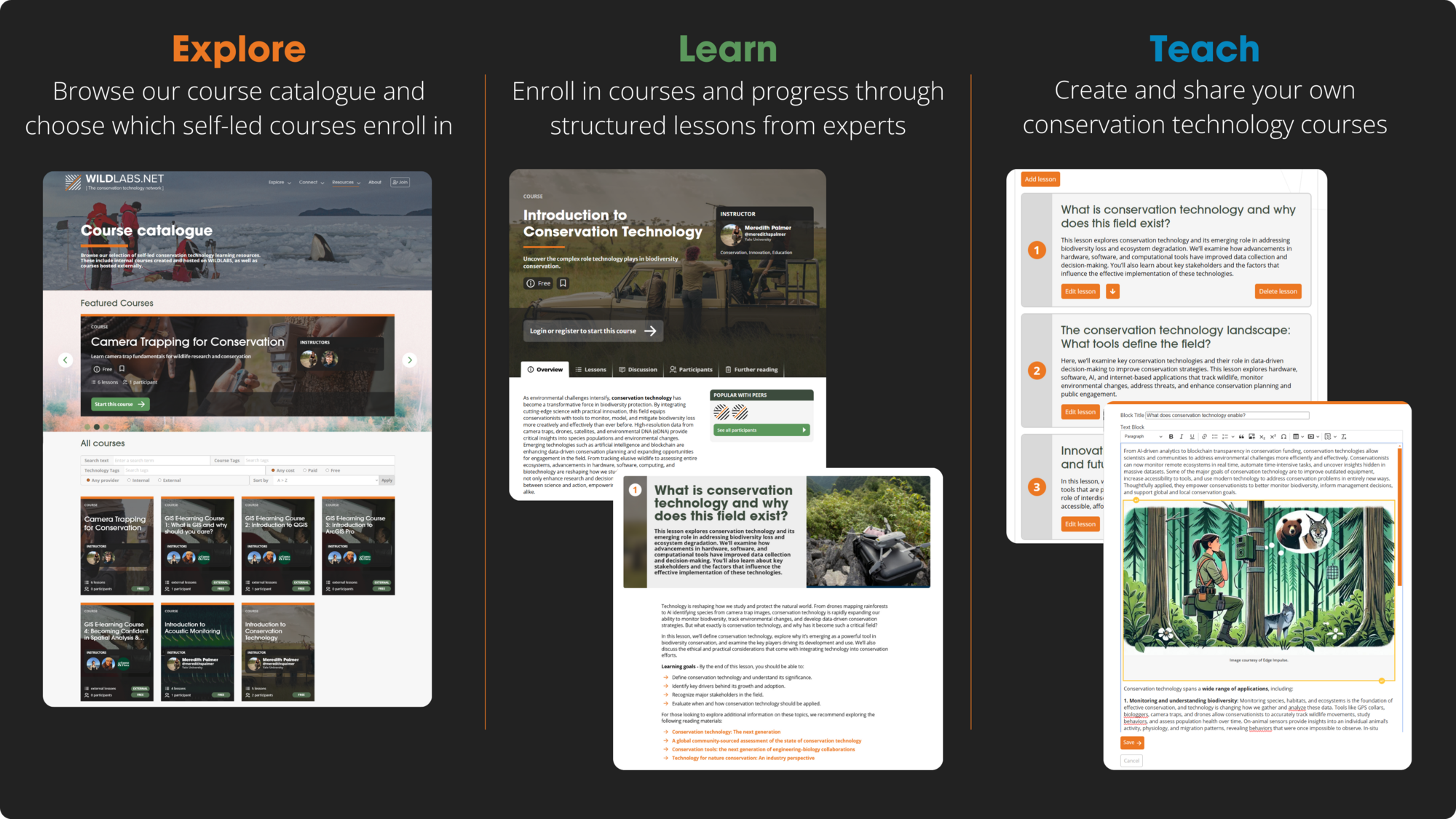 wildlabs course overview