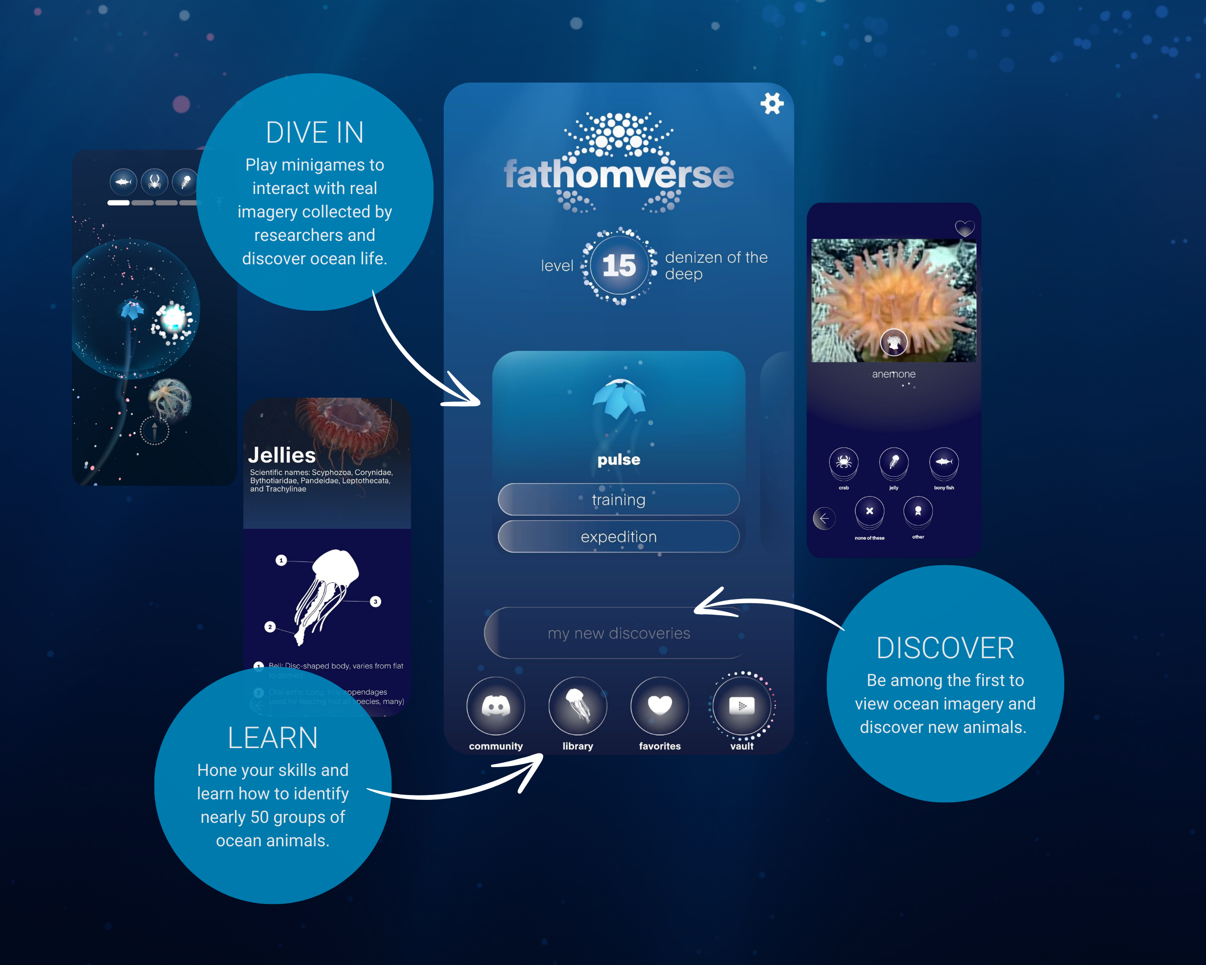 Screen grabs from FathomVerse game. Dive in, learn, discover.