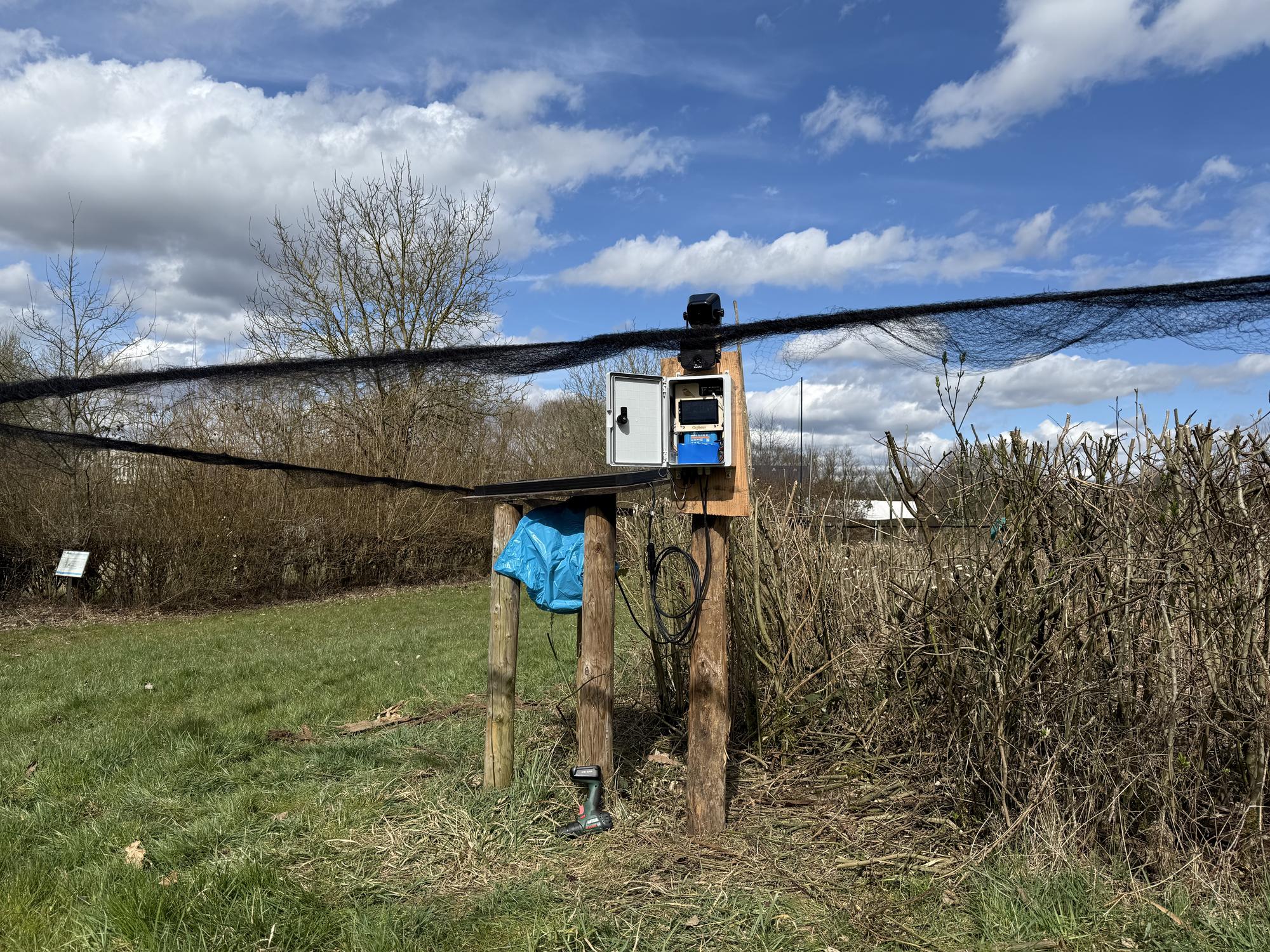 Testing at Schlammwiss ringing station 
