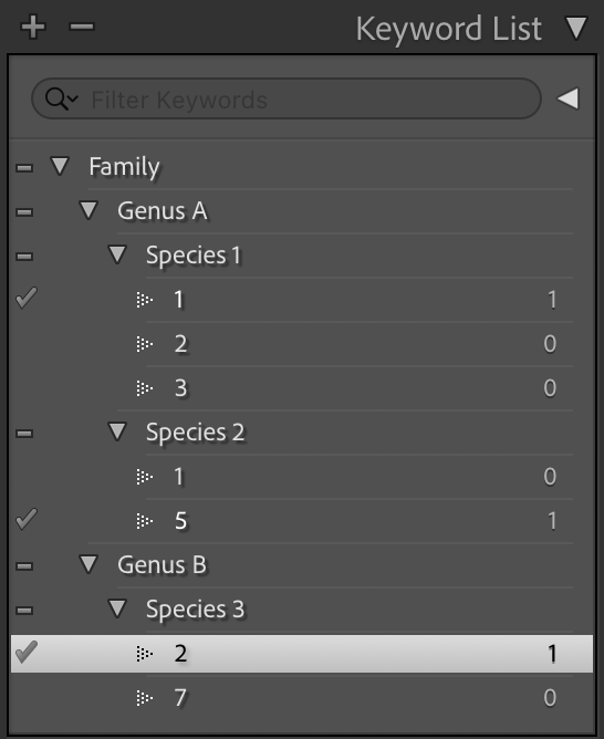 Screenshot of the Lightroom Keyword List showing an example hierarchy of Family > Genus > Species > Count.