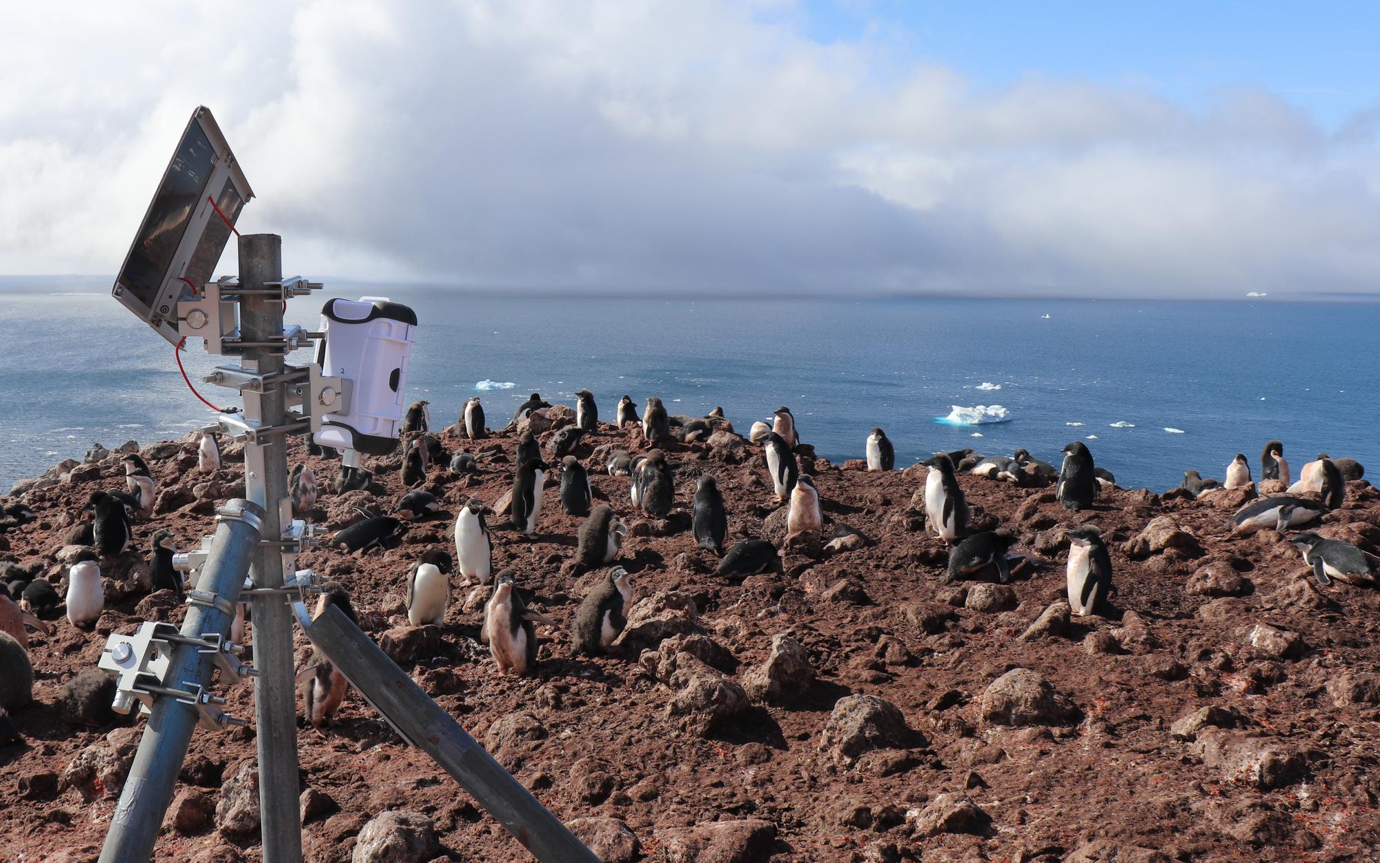 Antarctica timelapse camera Pi Zero
