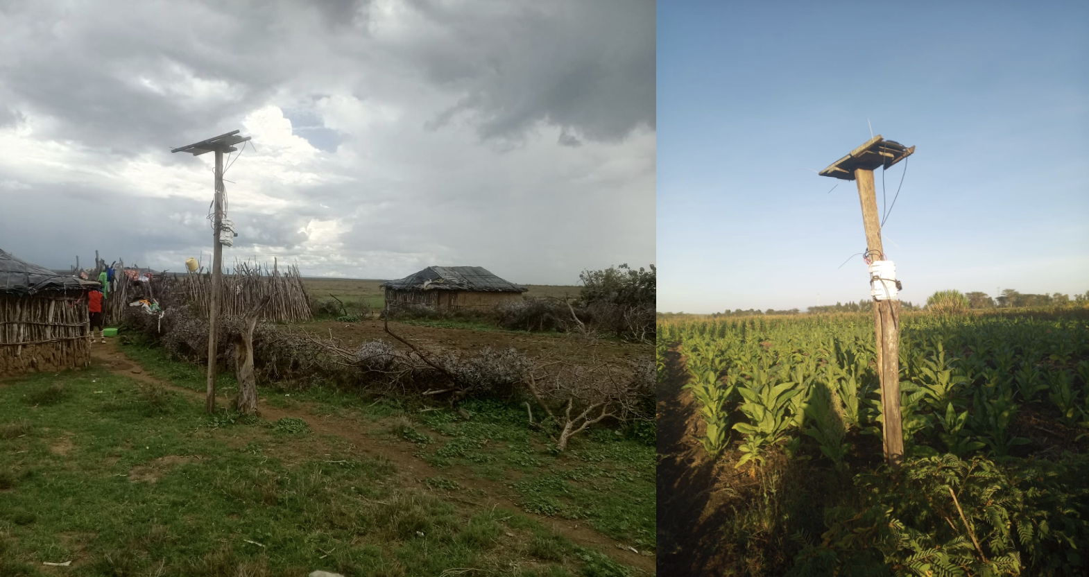 Typical Ambiance deplyoments on a boma/livestock coral (left) and farm (right). 