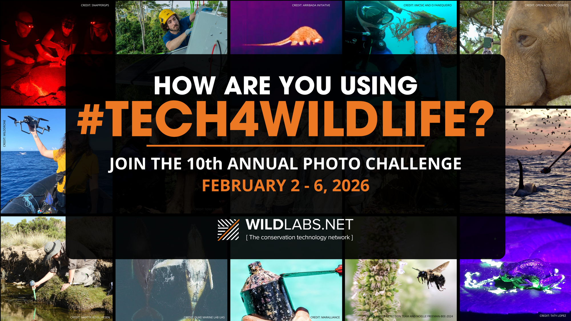 flyer for the tech4wildlife photo challenge
