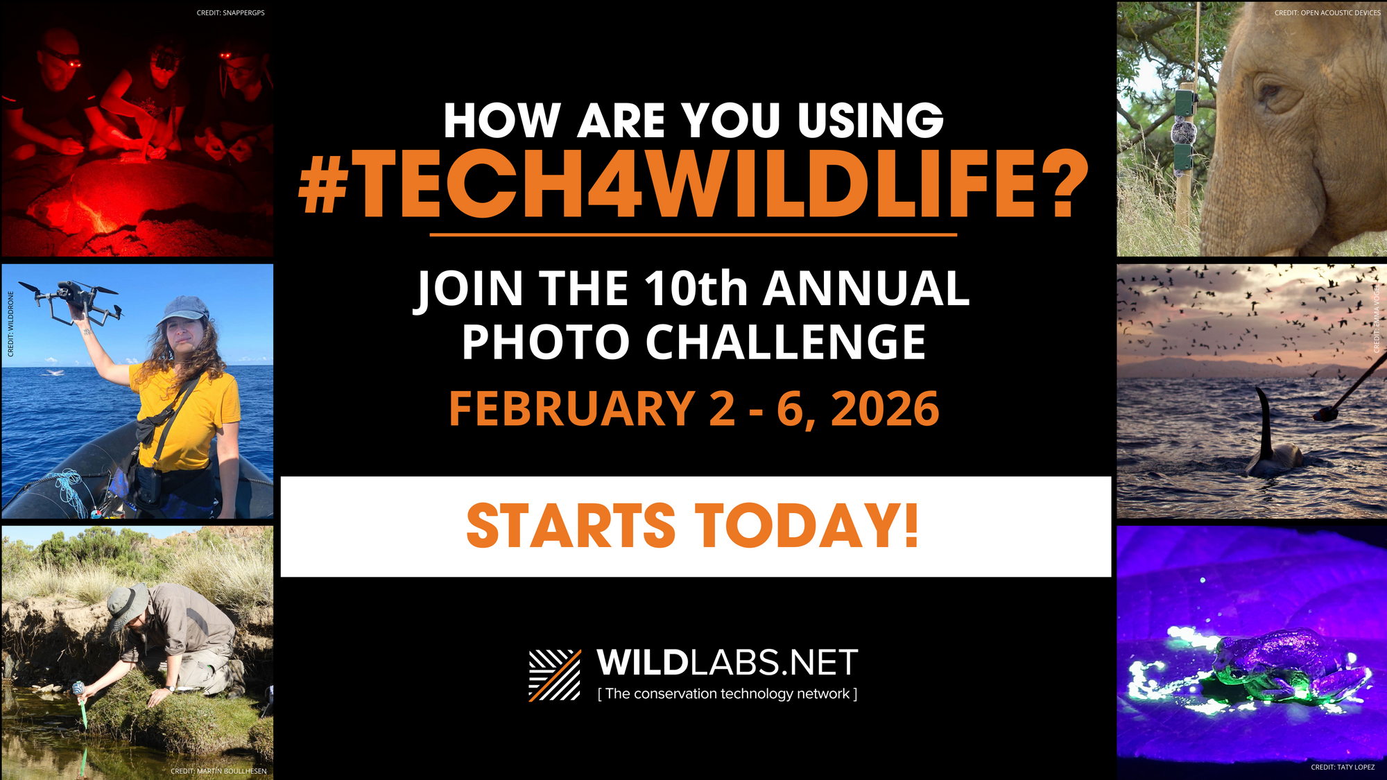 flyer announcing #tech4wildlife starts today, february 2