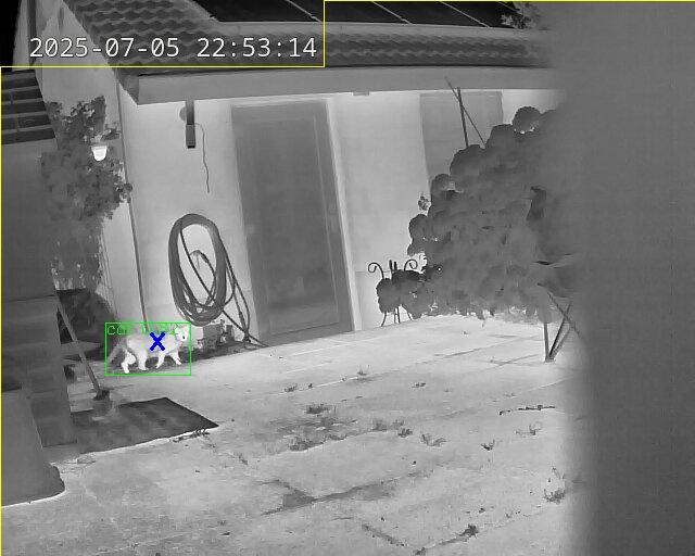 Local AI thermal cat triggering