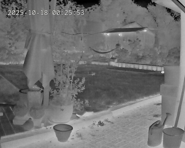Hedgehog detected at 13m