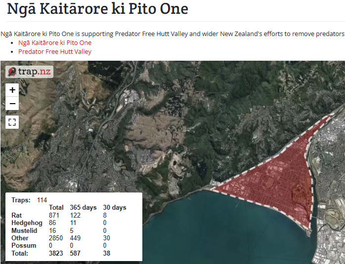 Ngā Kaitārore ki Pito One