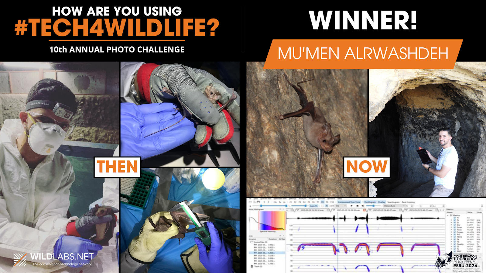announcing winner of then & now category in #tech4wildlife challenge