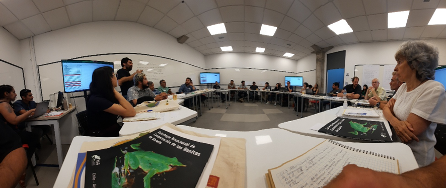 Meeting within the framework of the binational strategy for the conservation of Darwin's frog