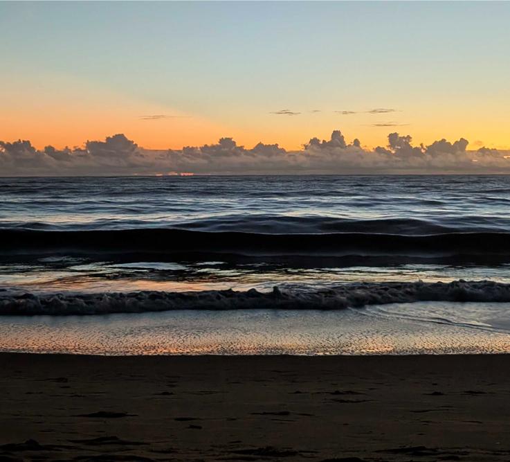 Watching the sunrise in Cayenne, French Guiana after tagging the first wave of olive ridley turtles in an arribada