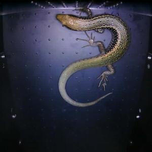 Lizard in unit