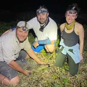 GPS-IRsat tag (Africa Wildlife Tracking) deployment in the field