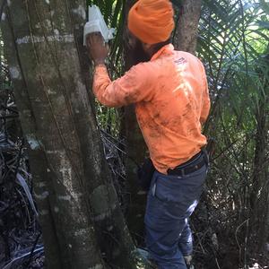 Bait station servicing.