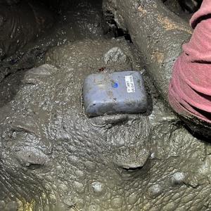 Crocodile with GPS-IR sat tag (Africa Wildlife Tracking)