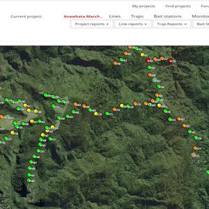 Dashboard visualisation - TrapNZ platform