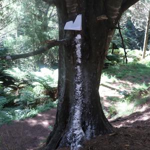 Bait station for rat and possum control