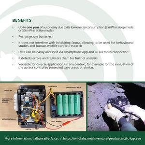 Leaflet back
