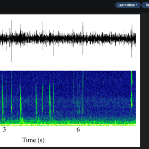Screenshot of the FishSounds.net sound recording view of an alewife cough