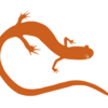 avatar for user Paulino González Fernández