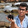 Erfan Firouzi